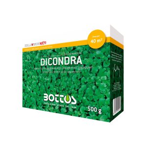 BOTTOS SEMENTI PER PRATO DICONDRA